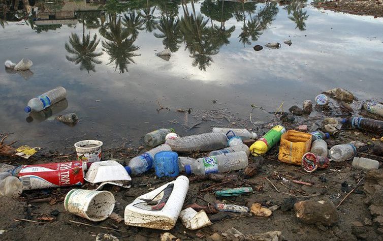 Dia mundial do meio ambiente