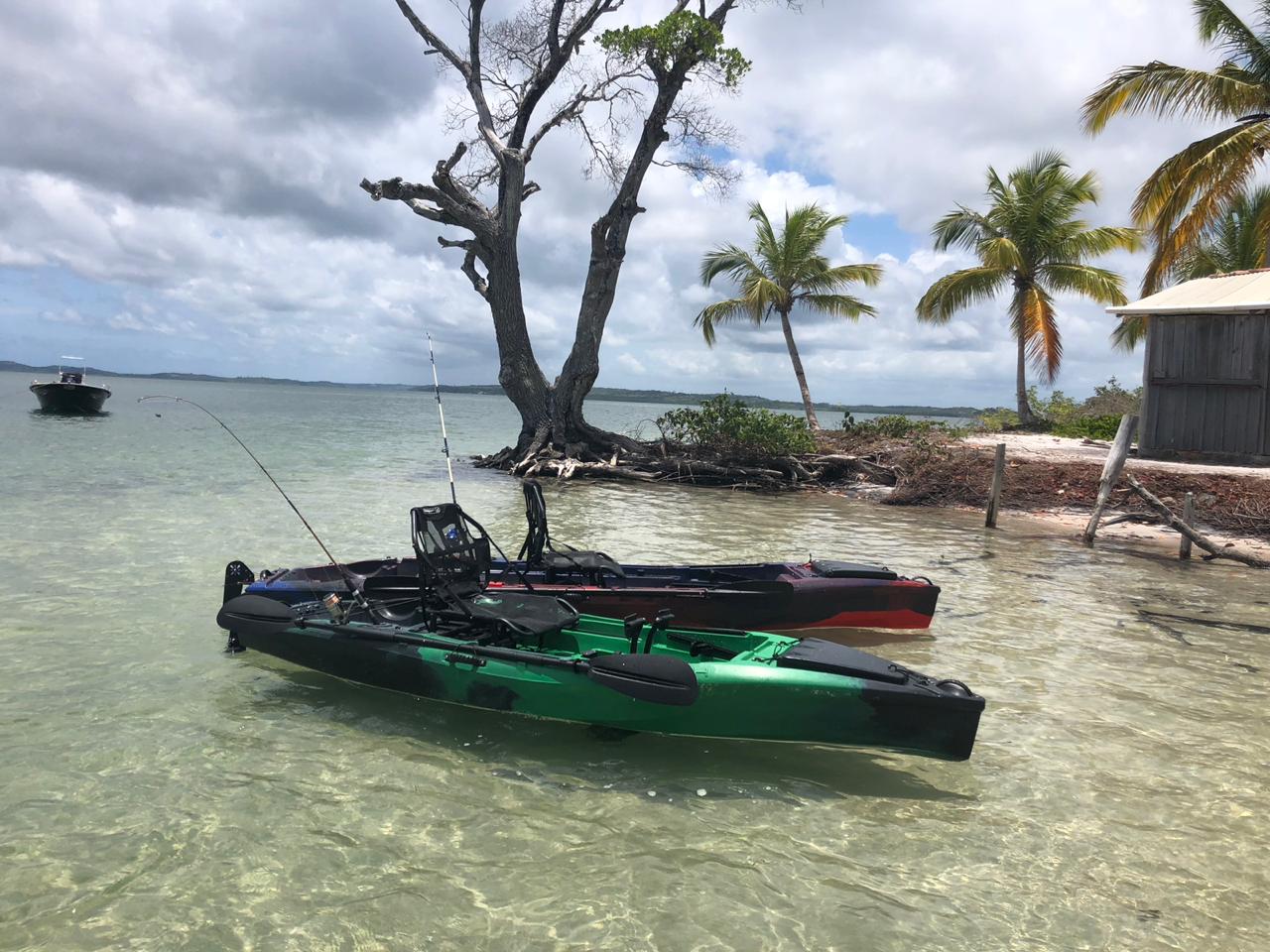 José Roberto Colnaghi, da Asperbras