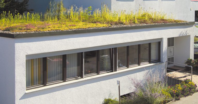 substrato para telhado