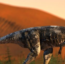 Nova espécie de dinossauro é descoberta no Paraná