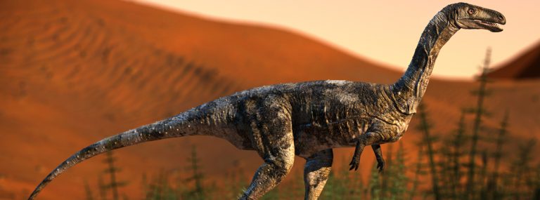 Nova espécie de dinossauro é descoberta no Paraná