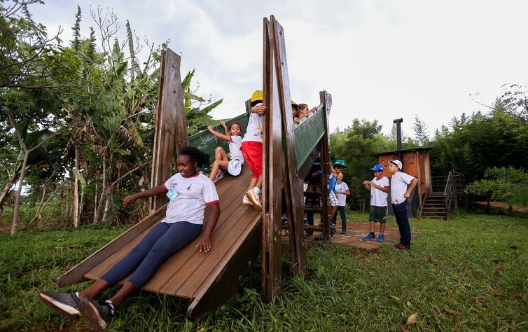 Vivência em áreas verdes melhora cognição e consciência ecológica de crianças e adolescentes