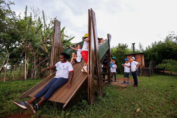 Vivência em áreas verdes melhora cognição e consciência ecológica de crianças e adolescentes