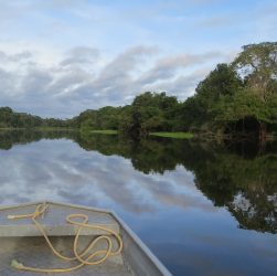 ÁREAS PROTEGIDAS NA AMAZÔNIA ESTÃO SOB RISCO DE AMEAÇA