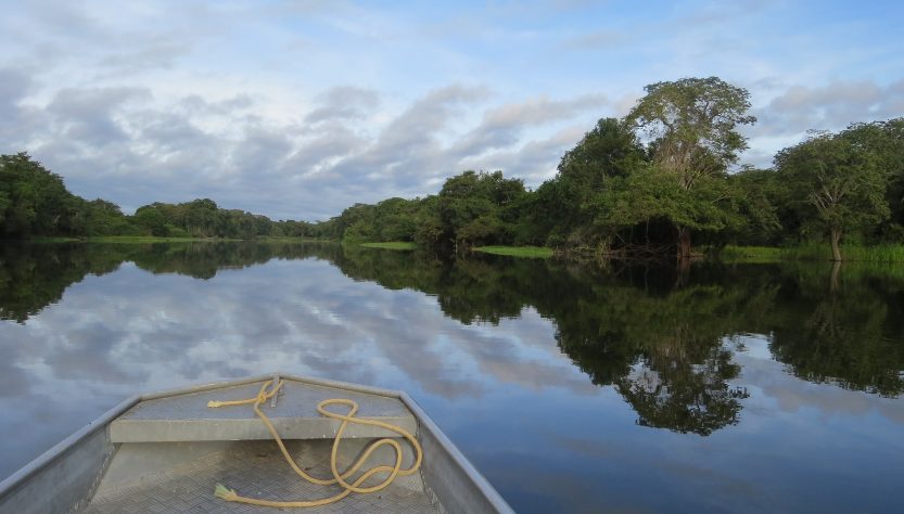 ÁREAS PROTEGIDAS NA AMAZÔNIA ESTÃO SOB RISCO DE AMEAÇA