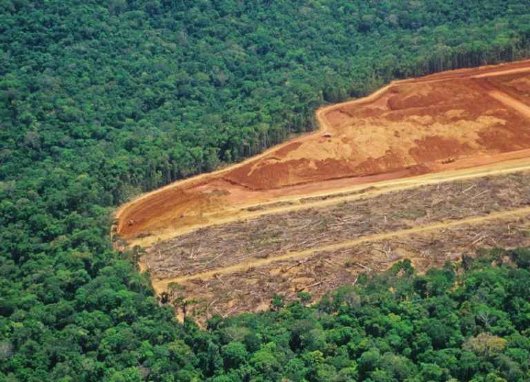 IMAZON CONFIRMA TENDÊNCIA DE CRESCIMENTO DO DESMATAMENTO DA AMAZÔNIA