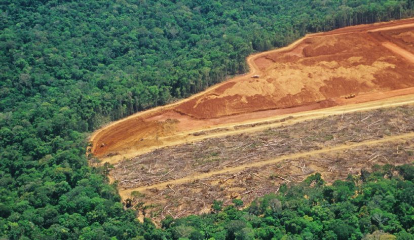 IMAZON CONFIRMA TENDÊNCIA DE CRESCIMENTO DO DESMATAMENTO DA AMAZÔNIA