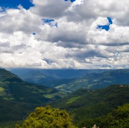 Plataforma digital reúne informações sobre a biodiversidade brasileira