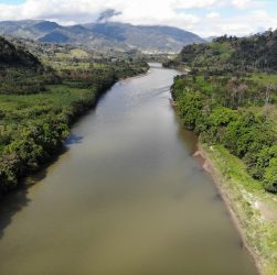 BOA REPUTAÇÃO DA POLÍTICA AMBIENTAL É CRUCIAL PARA QUEM FAZ NEGÓCIOS