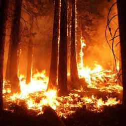 Sobe o número de mortos em incêndios da Austrália