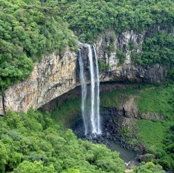 Extinção das Reservas Legais causaria prejuízo trilionário ao Brasil