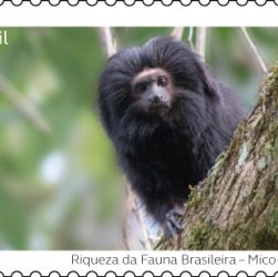 Selos especiais destacam riquezas da fauna brasileira