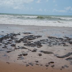 EXÉRCITO VAI REFORÇAR AÇÕES EM PRAIAS ATINGIDAS POR ÓLEO