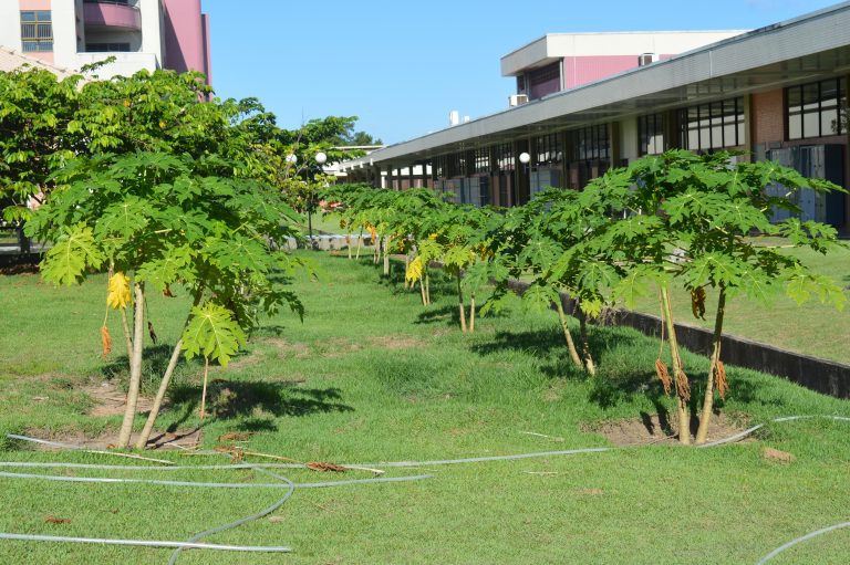 HOSPITAIS DA REGIÃO AMAZÔNICA PROMOVEM A PRESERVAÇÃO DO MEIO AMBIENTE