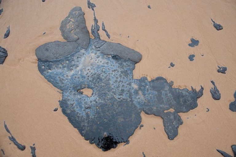 PESQUISADORES DA UFBA RESPALDAM HIPÓTESE DE QUE PETRÓLEO É VENEZUELANO