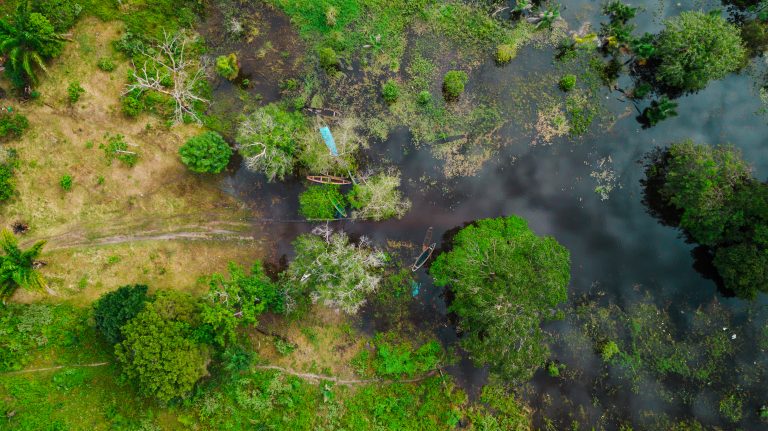 Ameaça de desmatamento aumenta no último ano