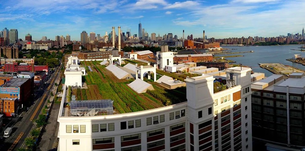 FAZENDAS PRODUZEM ALIMENTOS NO TOPO DE EDIFÍCIOS EM NOVA IORQUE