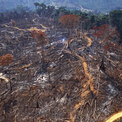 DESMATAMENTO DA AMAZÔNIA AUMENTA 212% EM OUTUBRO