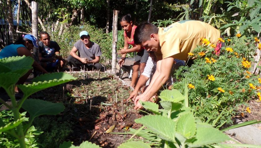 FAS E SAMSUNG RENOVAM PROJETO SOCIOAMBIENTAL