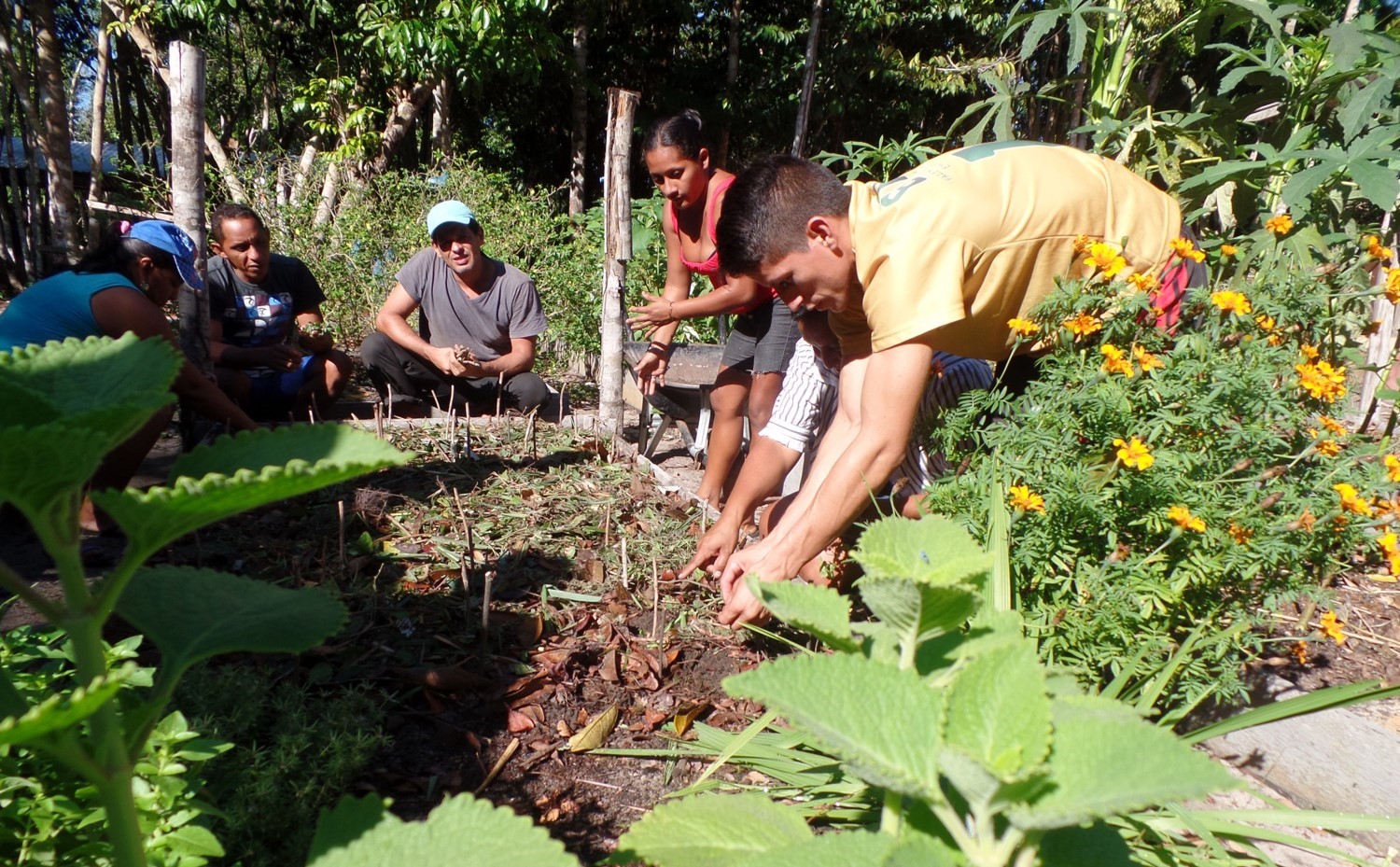 FAS E SAMSUNG RENOVAM PROJETO SOCIOAMBIENTAL