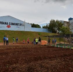 PREFEITURA DE LIMEIRA TRANSFORMA TERRENO BALDIO EM HORTA COMUNITÁRIA