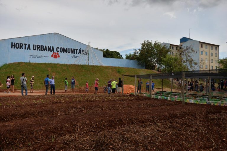 PREFEITURA DE LIMEIRA TRANSFORMA TERRENO BALDIO EM HORTA COMUNITÁRIA