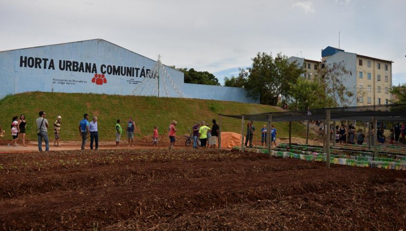 PREFEITURA DE LIMEIRA TRANSFORMA TERRENO BALDIO EM HORTA COMUNITÁRIA