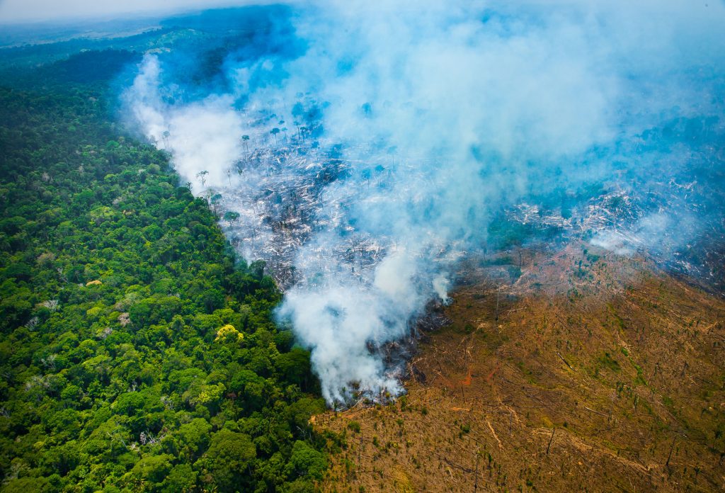 Desmatamento Na Amazônia Cresce Em 2019 - Fórum De Sustentabilidade