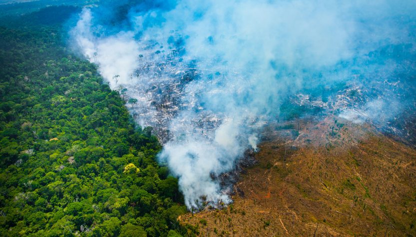 Desmatamento na Amazônia cresce em 2019