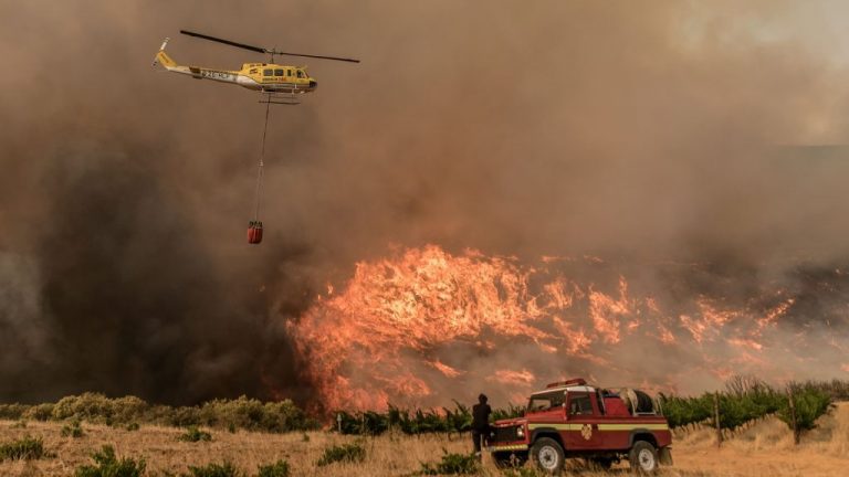 CRISE CLIMÁTICA PROVOCA INCÊNDIOS, ONDAS DE CALOR E PERDA DA BIODIVERSIDADE
