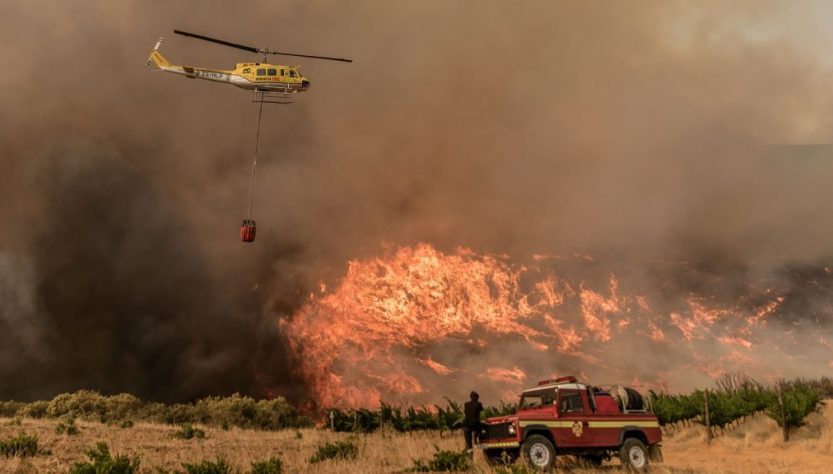 CRISE CLIMÁTICA PROVOCA INCÊNDIOS, ONDAS DE CALOR E PERDA DA BIODIVERSIDADE