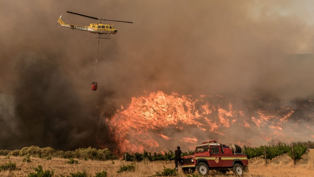 CRISE CLIMÁTICA PROVOCA INCÊNDIOS, ONDAS DE CALOR E PERDA DA BIODIVERSIDADE