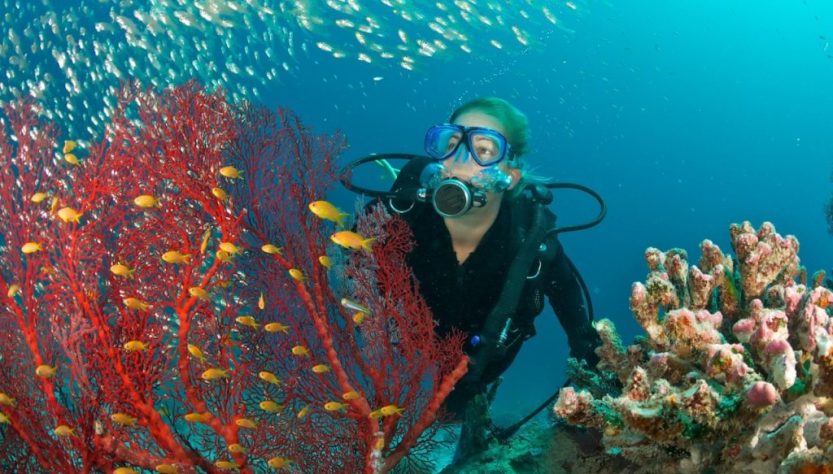 CONCURSO DA ONU BUSCA INOVAÇÕES QUE COMBATAM POLUIÇÃO NOS OCEANOS