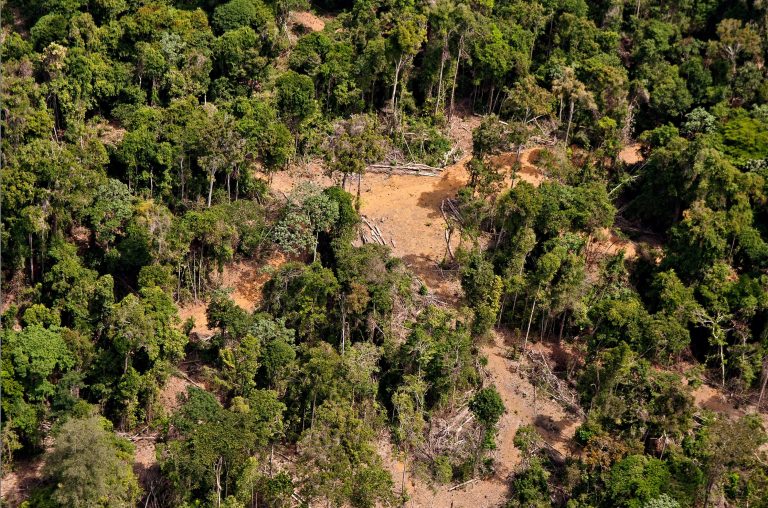 JANEIRO REGISTRA AUMENTO DE 74% NO DESMATAMENTO DA AMAZÔNIA, MOSTRA IMAZON