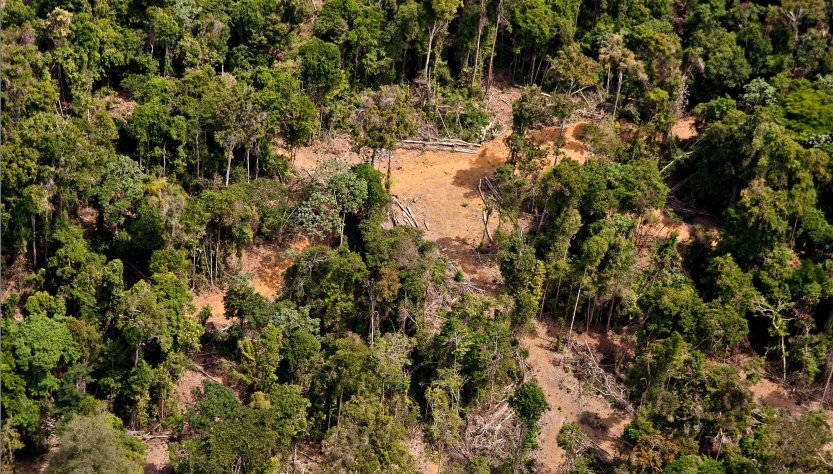JANEIRO REGISTRA AUMENTO DE 74% NO DESMATAMENTO DA AMAZÔNIA, MOSTRA IMAZON