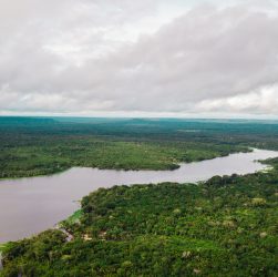 Pará tem seis das dez áreas de proteção ambiental mais ameaçadas de desmatamento na Amazônia