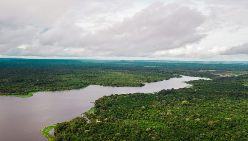 Pará tem seis das dez áreas de proteção ambiental mais ameaçadas de desmatamento na Amazônia