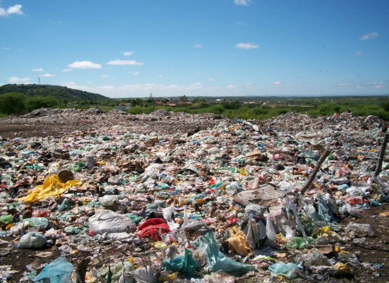 Reciclagem: índice nacional é de apenas 3%