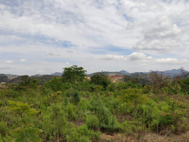 Restauração florestal em área de mineração de bauxita tem projeto premiado