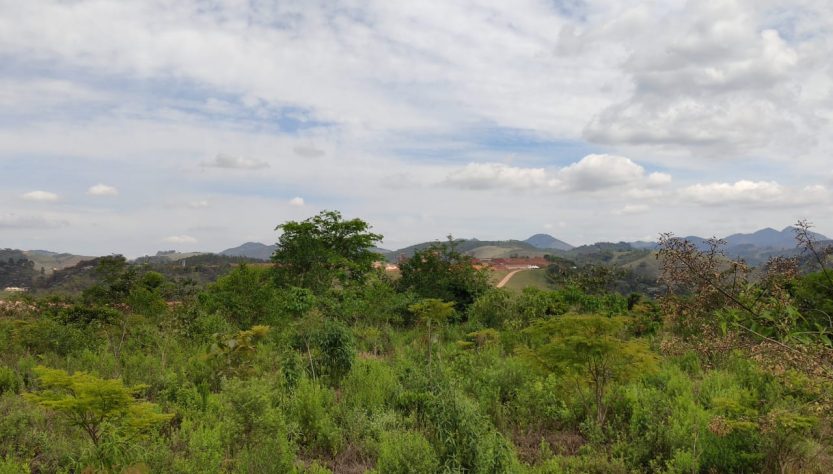 Restauração florestal em área de mineração de bauxita tem projeto premiado