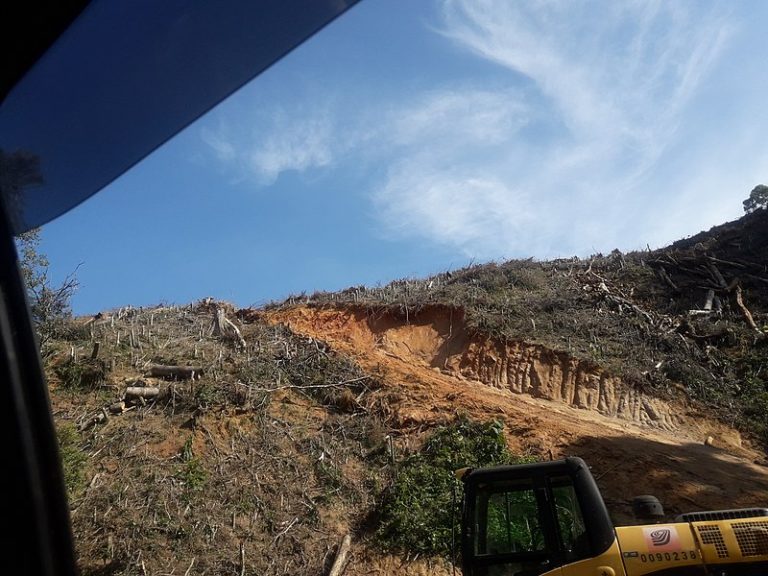 Desmatamento na Amazônia avança em março e registra recorde dos últimos dois anos