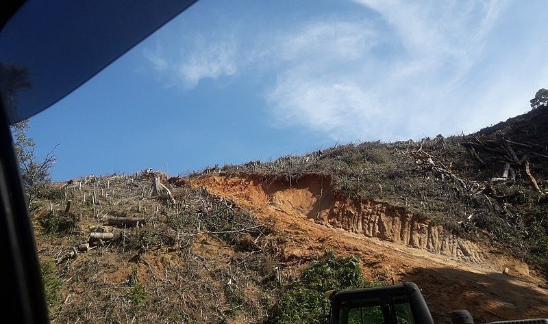 Desmatamento na Amazônia avança em março e registra recorde dos últimos dois anos