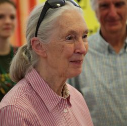 O “desprezo” pela natureza causa esta pandemia, afirma Jane Goodall