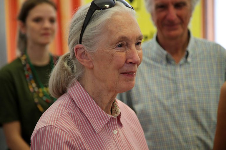 O “desprezo” pela natureza causa esta pandemia, afirma Jane Goodall