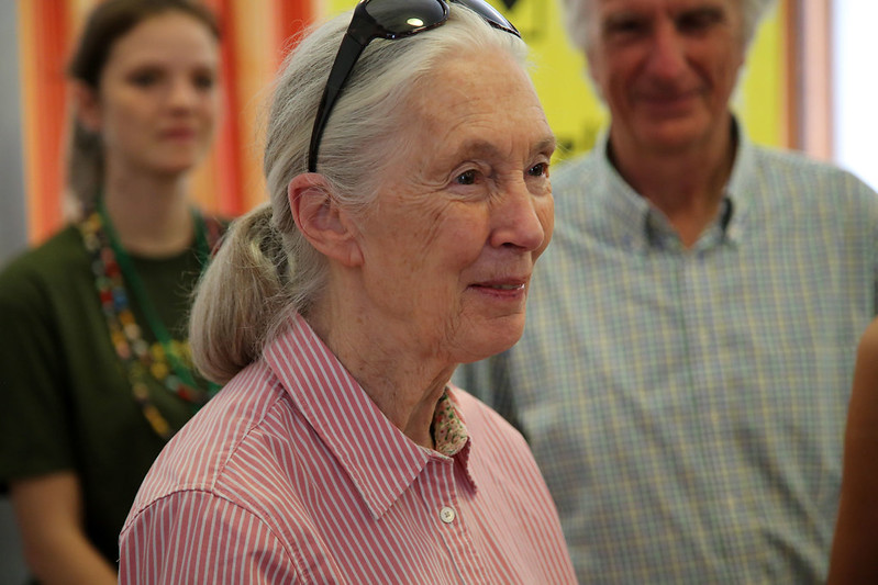 O “desprezo” pela natureza causa esta pandemia, afirma Jane Goodall