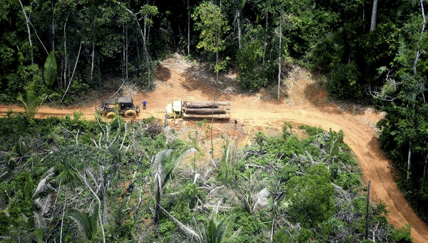 Em meio à pandemia, grileiros e invasores se aproximam de aldeia Karipuna