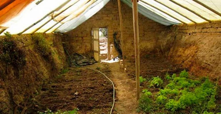 Estufa subterrânea garante alimentos o ano inteiro