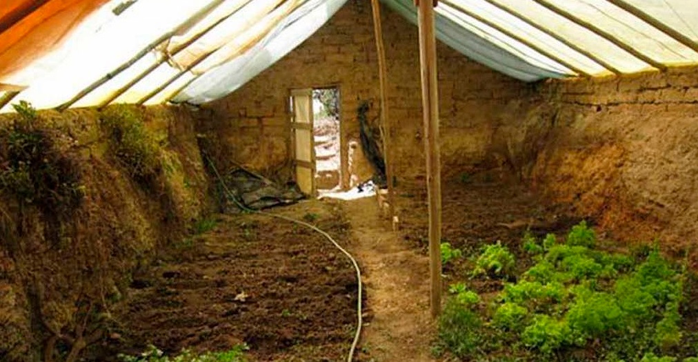 Estufa subterrânea garante alimentos o ano inteiro