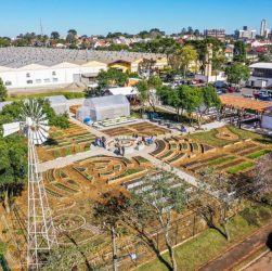 Fazenda de agricultura urbana em Curitiba