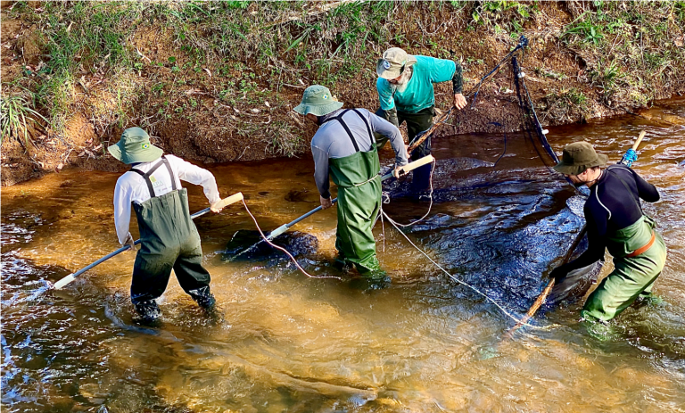 Riacho preservado no Parque Nacional do Caparaó